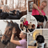 Eine Collage zeigt eine Frau, die Pferde und Hunde behandelt, mit einem zentralen Bild von ihr und vier Hunden.