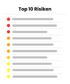 Top 10 Risiken 2025
