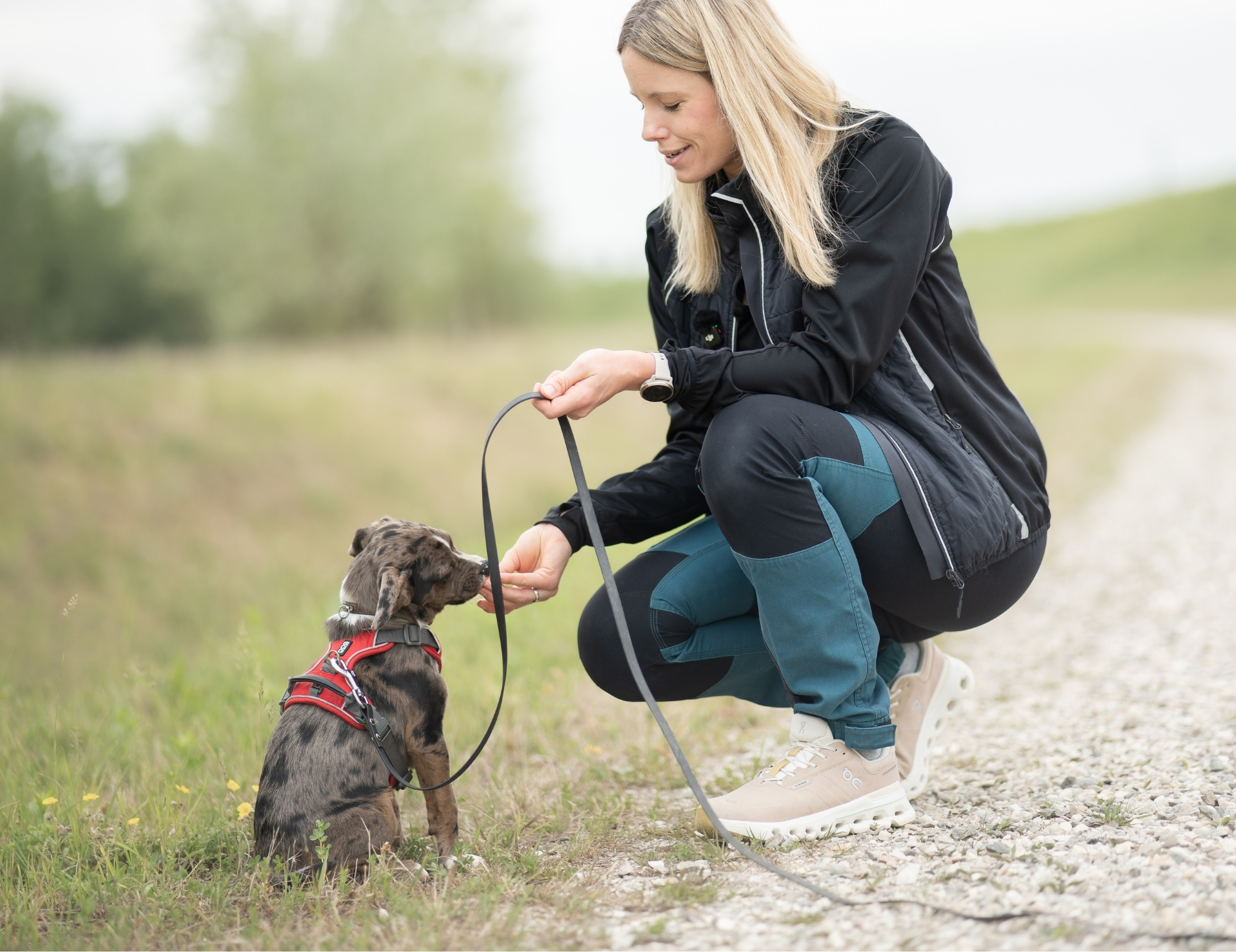 Pfoten Academy Schleppleine 5m ohne Schlaufe – Bild 5