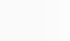 Kundenstimme über SPEEDSCALING