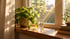 Warmes Sonnenlicht fällt durch ein Fenster auf eine Fensterbank mit Pflanze