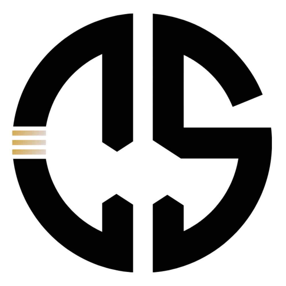 Weißes Daniel Sys Logo mit stilisierten DS-Initialen auf dunkelgrünem Hintergrund.