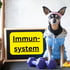 Hund in Sportkleidung mit Hanteln und Tafel: "Immunsystem"
