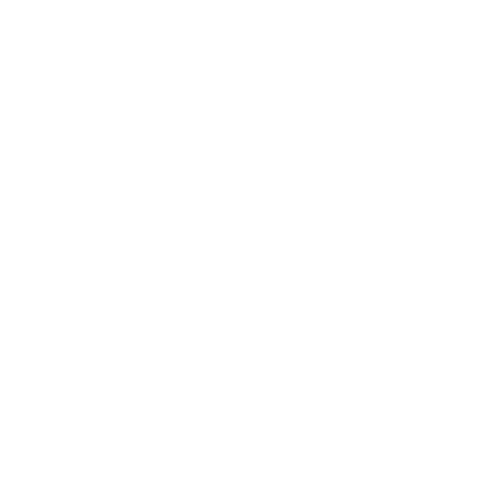 Logo: Weißes Haus-Symbol mit den Buchstaben "BM" und "BAUMEISTER" in einem Kreis auf grünem Hintergrund.