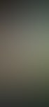 Holzdachkonstruktion Lichtoeffnungen