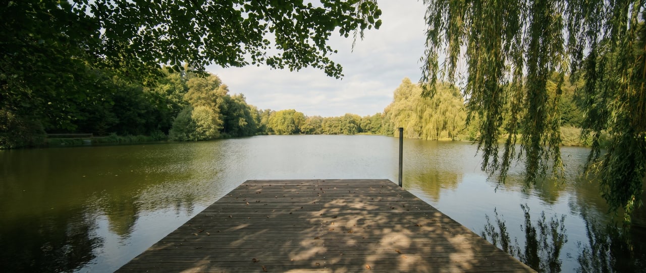 Holzsteg am Teich im Aatal, gesäumt von Trauerweiden