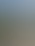 Schüler mit Rucksäcken steigen aus einem Bus vor einem Bergpanorama aus.