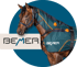 Brown horse wearing a dark teal and orange BEMER horse blanket, with the BEMER logo on the left.