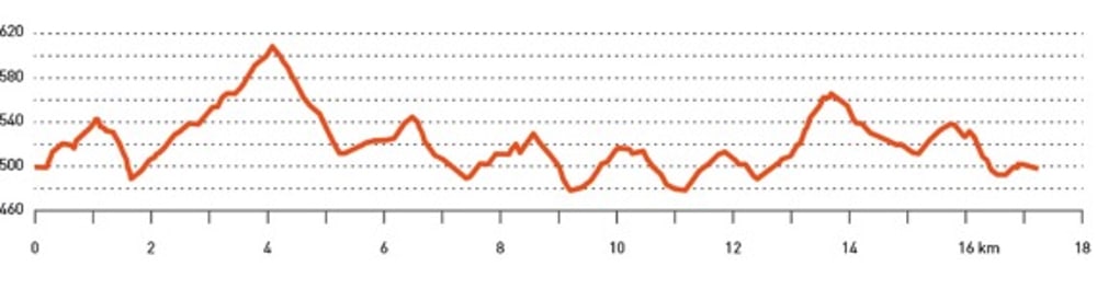 Höhenprofil-Liniendiagramm mit Höhepunkten bei 4 km, 7 km, 13 km und Tiefpunkten bei 2 km, 9 km und 11 km.