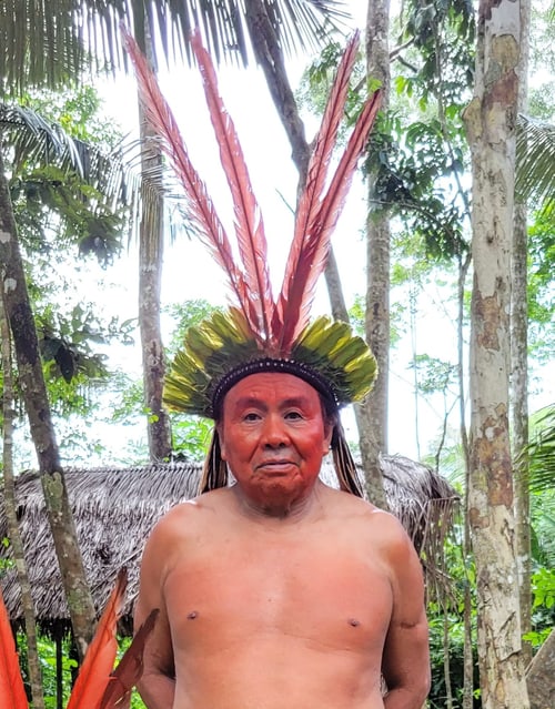 Vêa