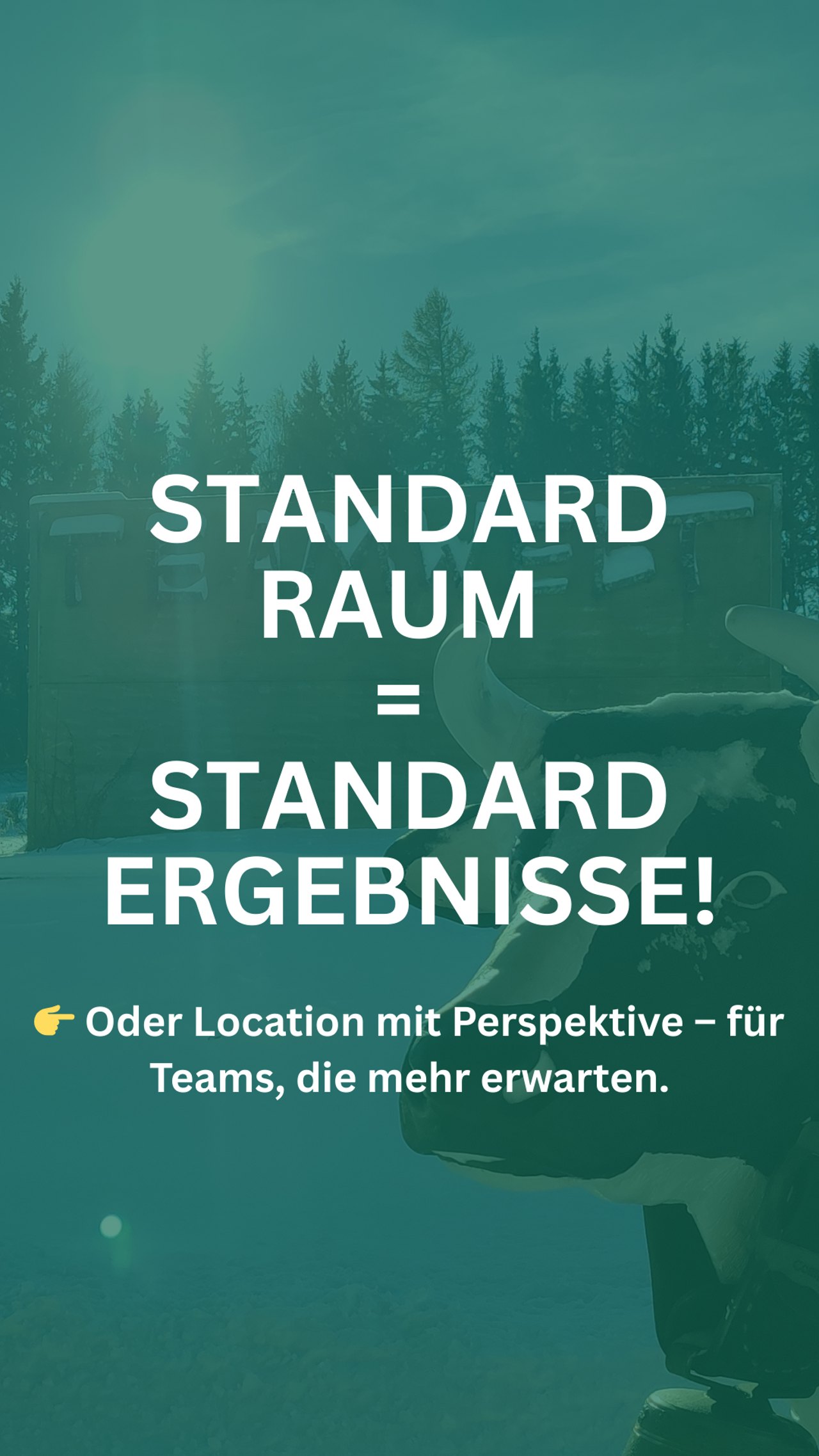 Anzeige Teamwelt: „Standard-Raum = Standard-Ergebnisse“, Kuhfigur vor Waldkulisse