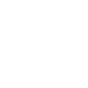 Google Maps Icon