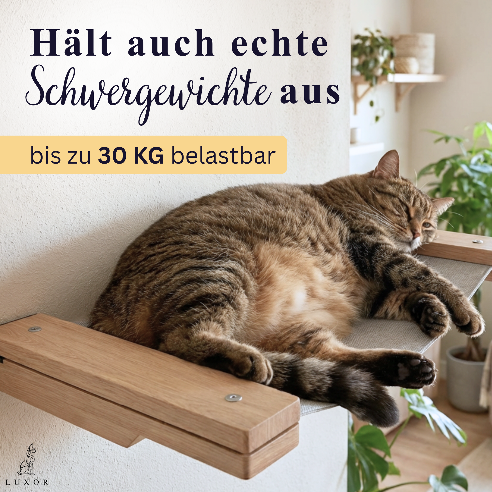 Listing Bilder