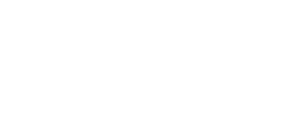Logo von Lindemaier: ein großes weißes "L" mit geschwungener Unterseite über dem Schriftzug "LINDEMAIER" auf grünem Grund.