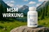 Biogena MSM in einer schönen Natur
