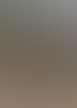 Forstservice Frankfurt (Oder) | Forstservice Winnige