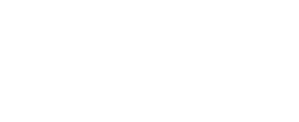 Abschlepp- und Bergungsdienst