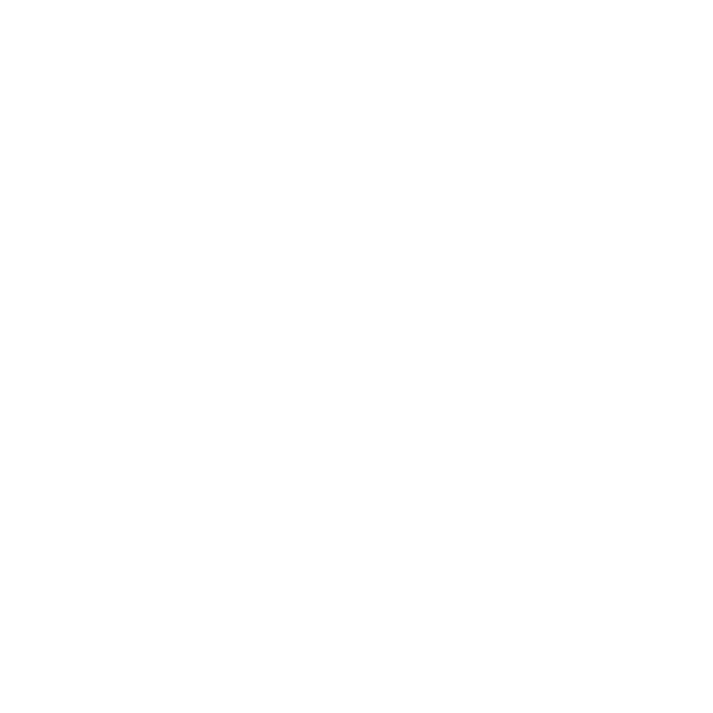 Cybersolve Logo Footer
