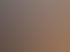 Ein Mann sitzt auf einem Fitnessgerät, ein Trainer zeigt ihm etwas auf einem Tablet.
