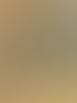 Firmenevents und Aktionen