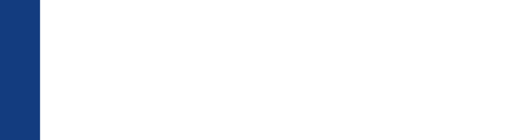 Pascal Weltz Consulting Logo mit dunkelblauem Balken links und schwarzem Text auf grünem Hintergrund.