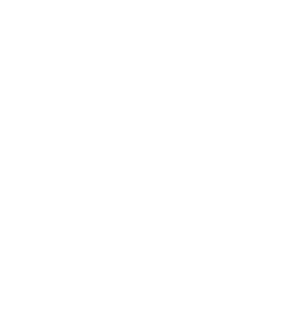 NIRO und KÖGL Logos mit Schriftzug "OFFIZIELLER VIP-PARTNER" und 4 Sternen in Rot auf Grün.