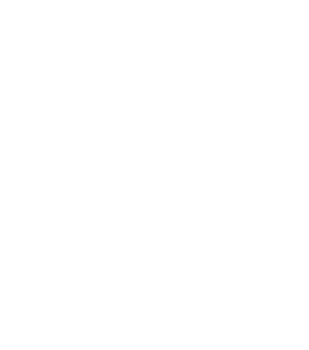 Nico Langmann Logo