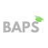BAPS Akademie Logo