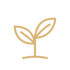 Goldfarbenes Icon eines kleinen Keimlings mit zwei Blättern auf schwarzem Hintergrund.