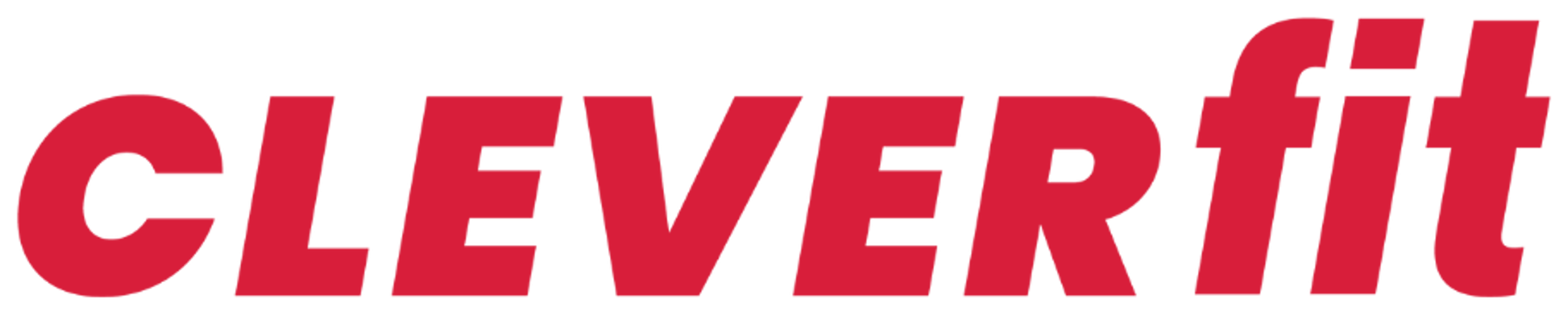 Clever Fit Logo