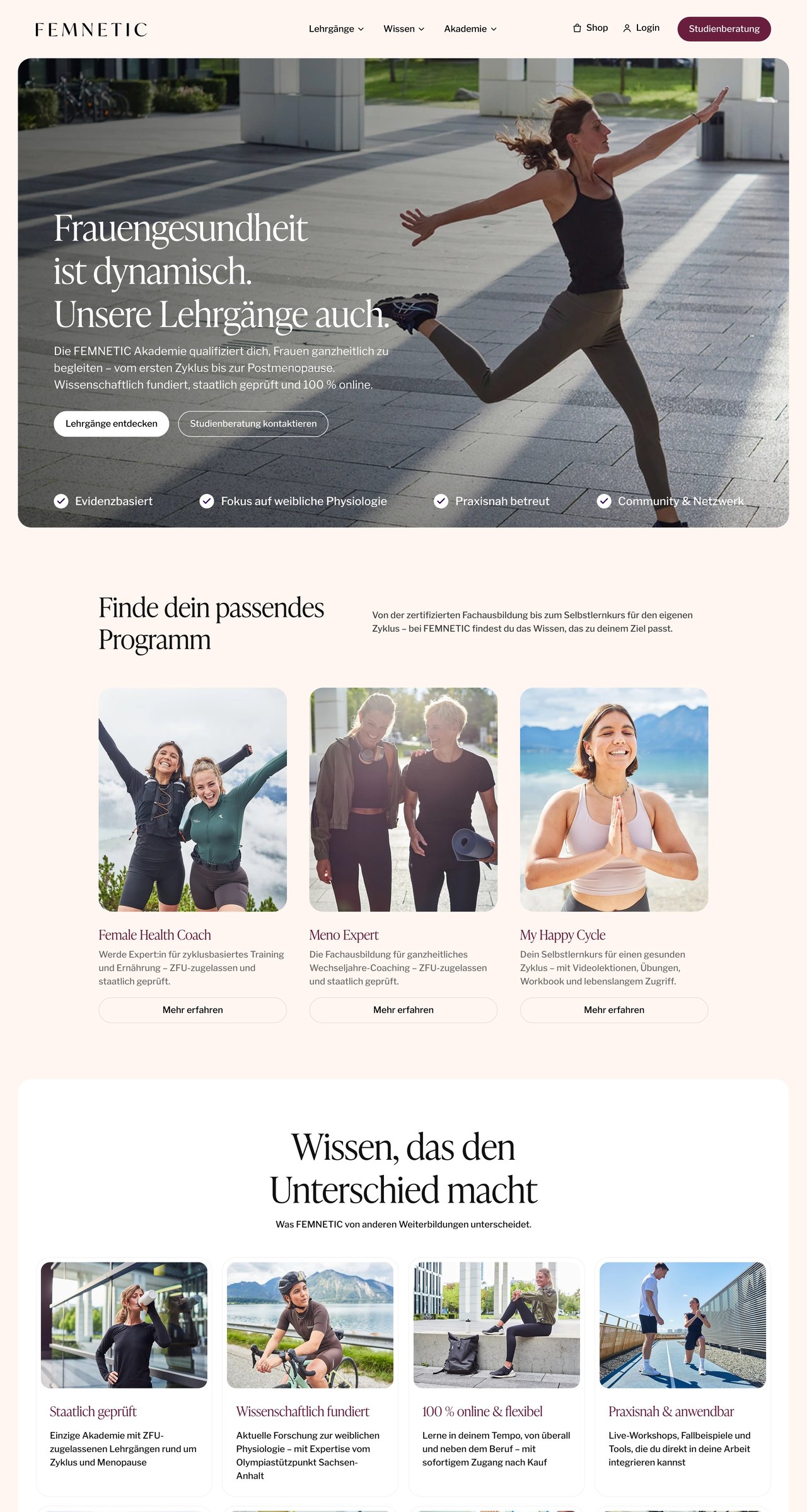 FEMNETIC website, first three screens