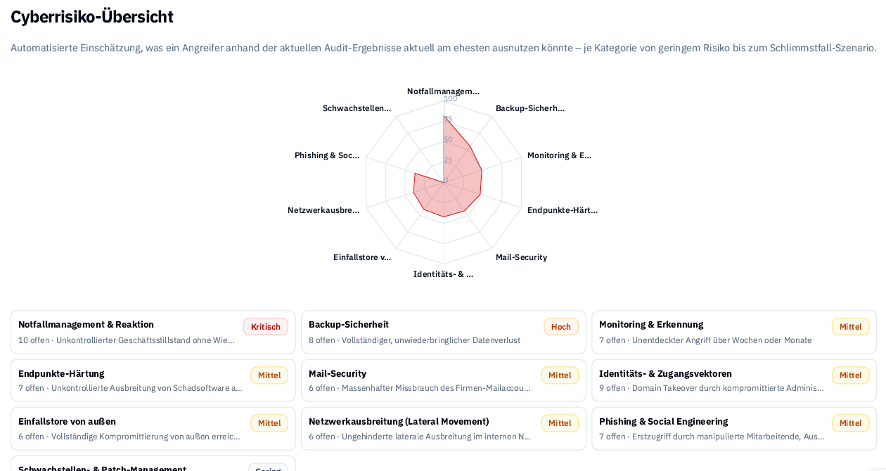 Anonymisierte Cyberrisiko-Übersicht mit Netzdiagramm und Risikoeinstufung je Kategorie