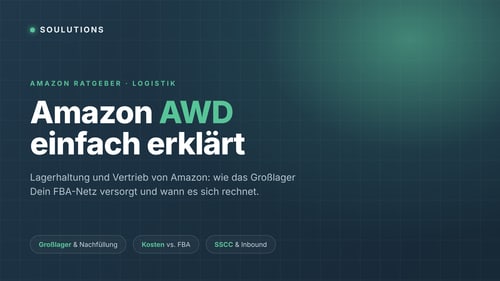 Amazon AWD: So funktioniert Lagerhaltung und Vertrieb von Amazon