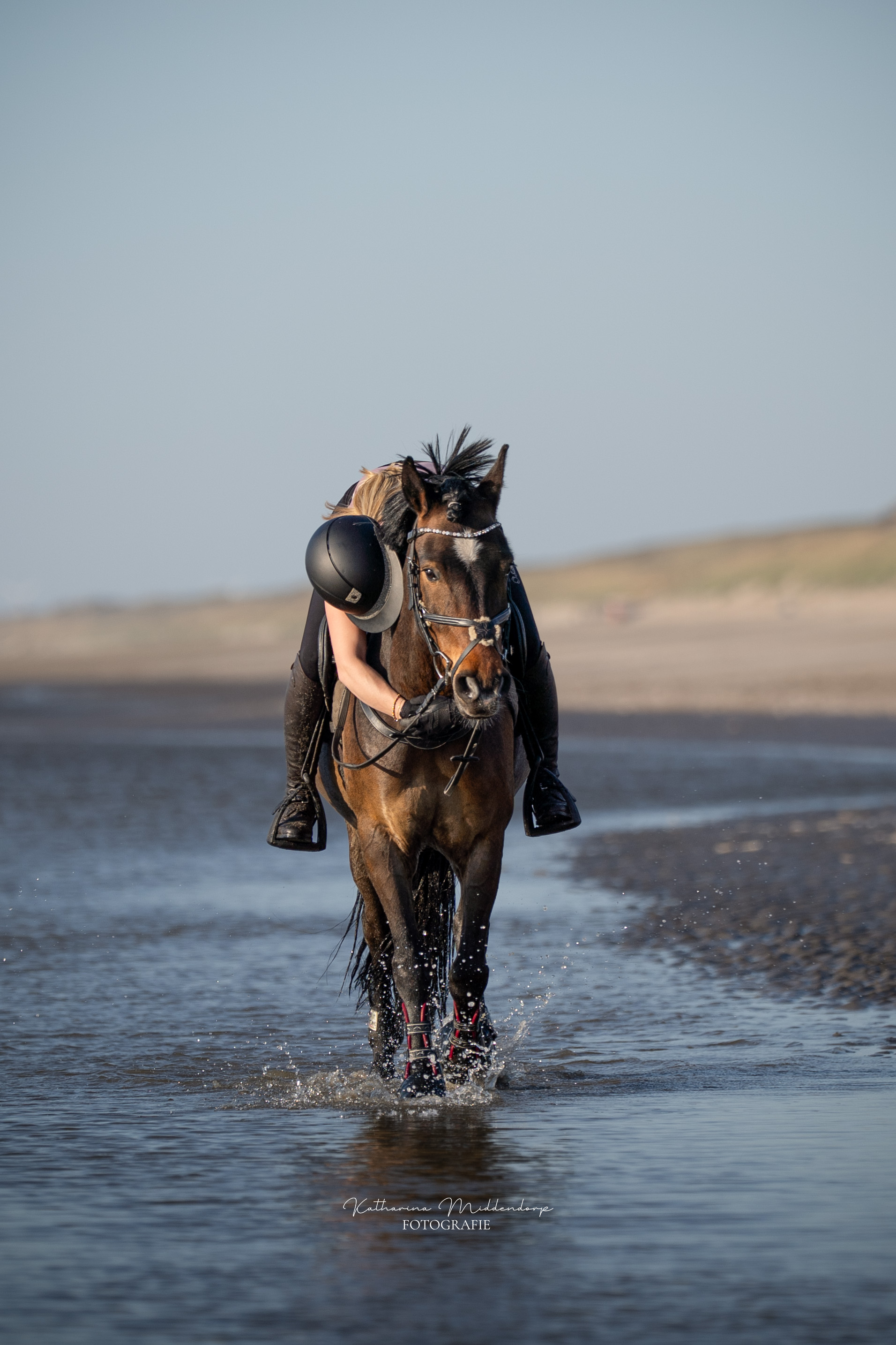 Pferdefotografie von Katharina Middendorp