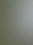 Ein silberner Hublift mit offener Plattform steht vor einer weißen Hauswand.