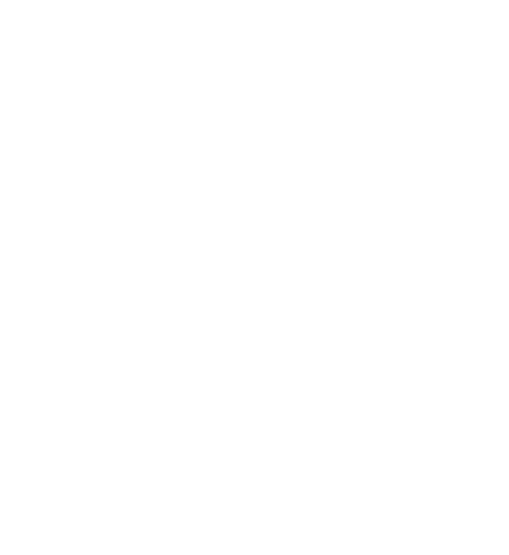 NIRO und KÖGL Logos mit Schriftzug "OFFIZIELLER VIP-PARTNER" und 4 Sternen in Rot auf Grün.