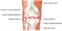Columbia MD clinic for knee pain relief