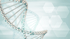 DNA, Epigenetik und Longevity Forschung