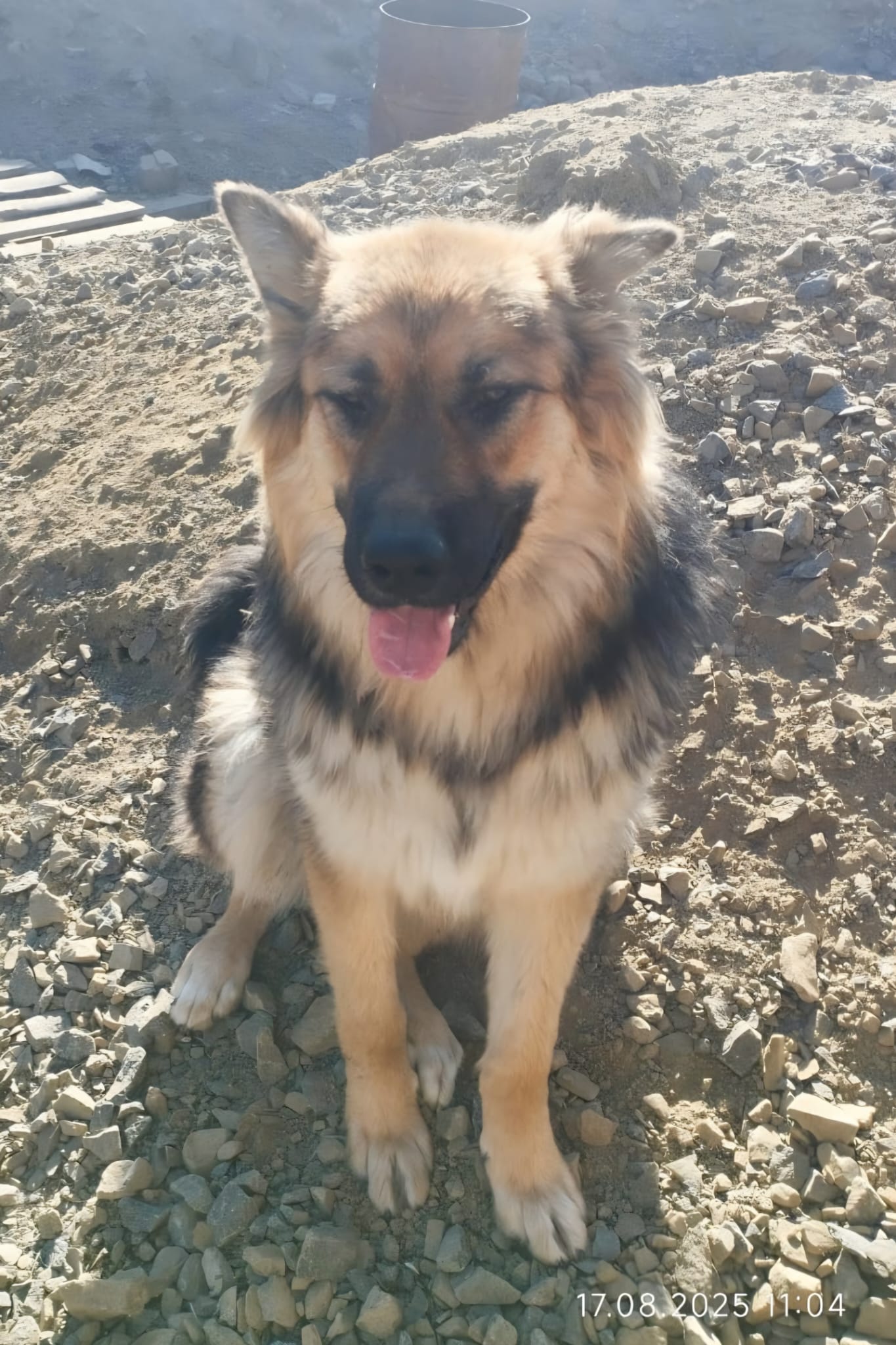 Max