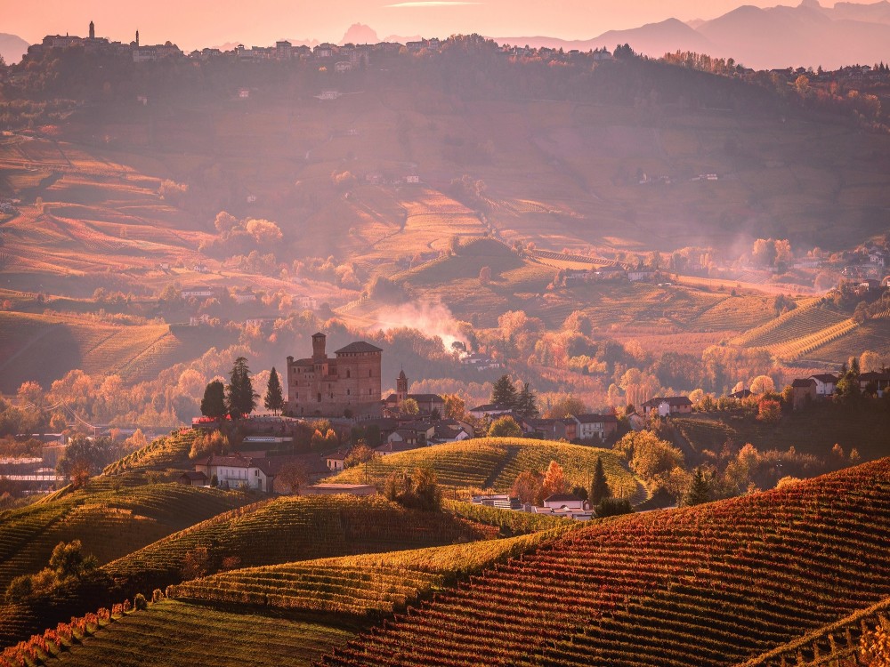 Langhe & Roero