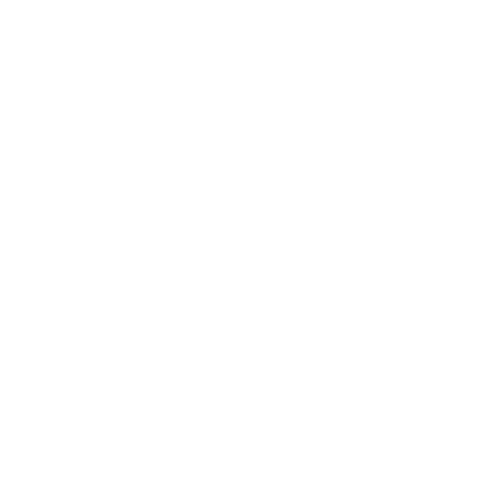 Dokument mit Lupe und Auge, daneben eine gestrichelte Linie mit zwei Flaggen, oben ein Häkchen.