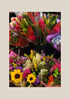 Displays With Impact