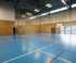 Große, leere Sporthalle mit blauem Boden, weißen Linien, Basketballkorb und Trennvorhang.