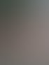 Forstservice Frankfurt (Oder) | Forstservice Winnige