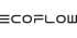 Schwarzer "ECOFLOW"-Text auf grünem Hintergrund.
