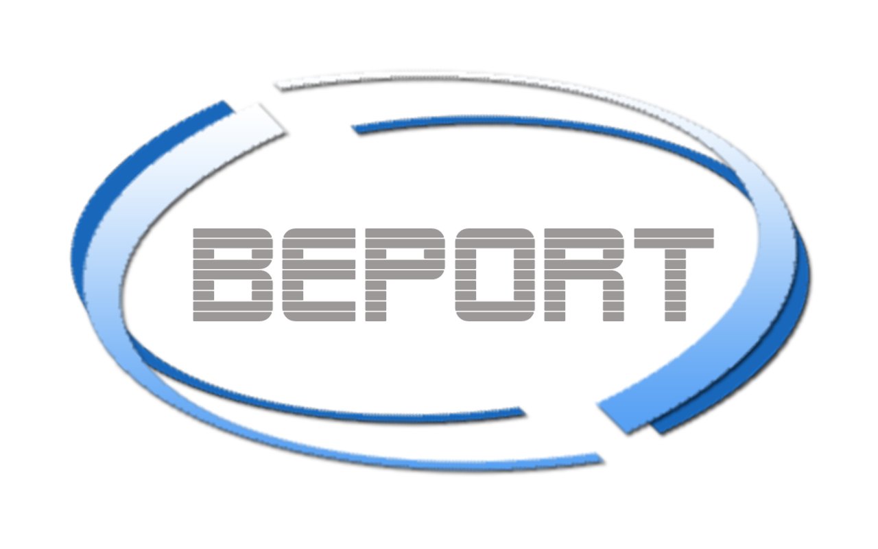 Breisgau Airport Logo