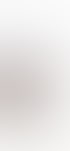 Kundenstimme über SPEEDSCALING