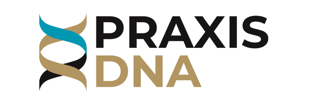 Logo mit einem blauen, schwarzen und goldenen DNA-Strang, daneben der Text "PRAXIS" in Schwarz und "DNA" in Gold.