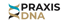 Logo der Praxis DNA mit einer blauen und goldenen DNA-Helix neben dem schwarzen Text "PRAXIS" und dem goldenen Text "DNA".