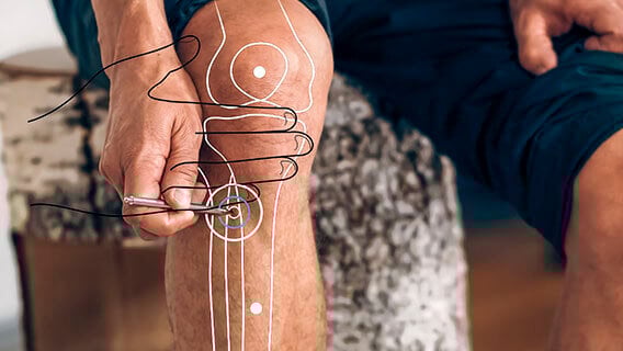 Magen 36 (Zusanli) Akupressurpunkt Position